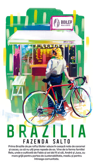 
                  
                    Load image into Gallery viewer, Boiler Coffee: Brazilia
                  
                